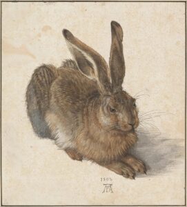 Albrecht-Dürer-Hase
