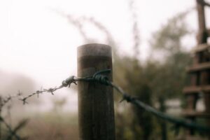 Glaube/Grenzen